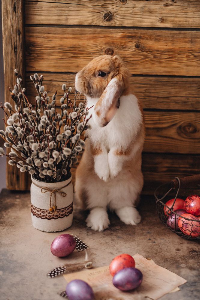 Photograph by Nataly Cook