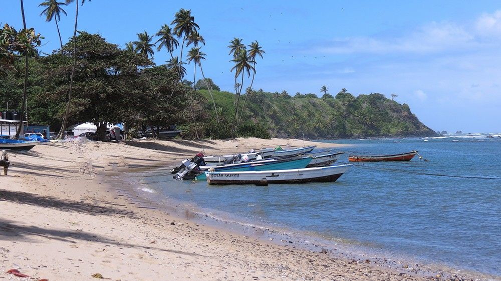 Photograph by Hilary McShine