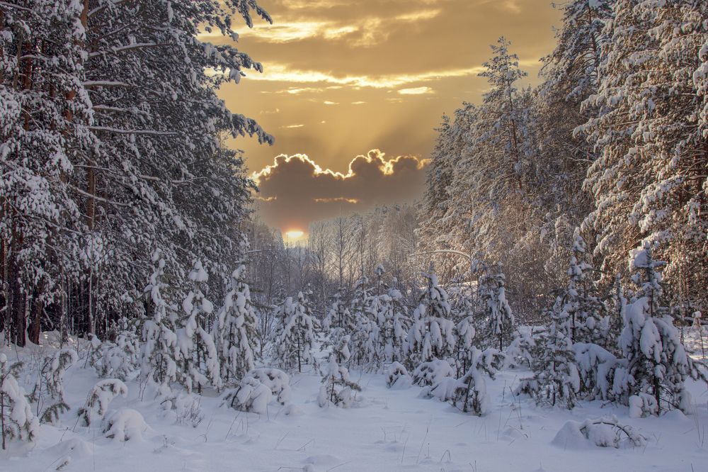 Photograph by Валерий Шорохов