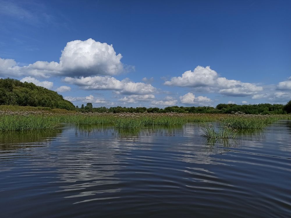 Photograph by Юлия