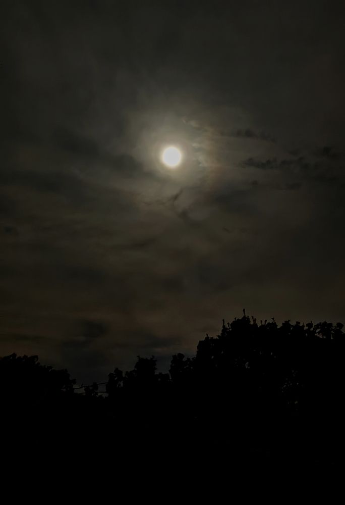 Photograph by Ирина Тихая