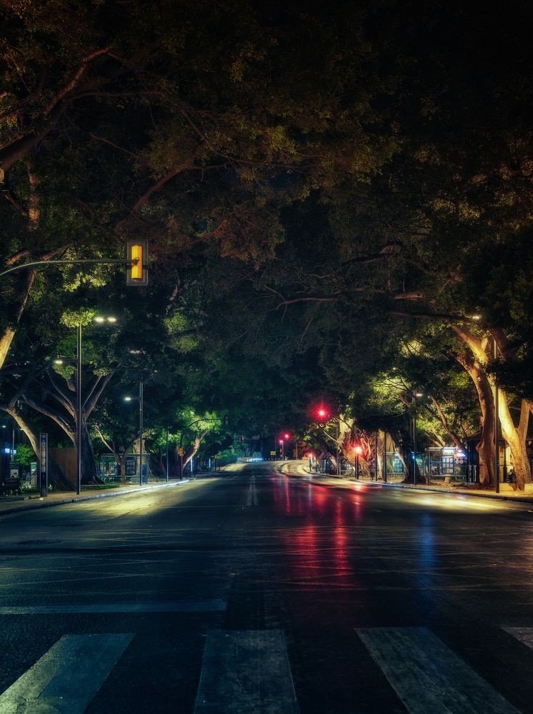 Фотография автора Rafael Roldan Nofuentes