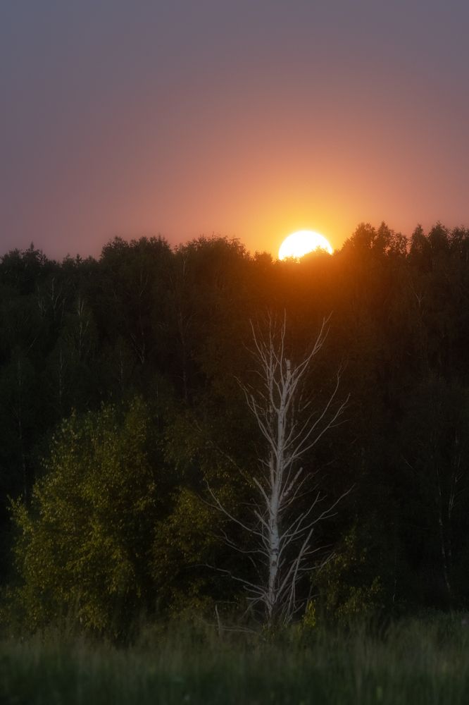 Photograph by Руслан Нигматуллин