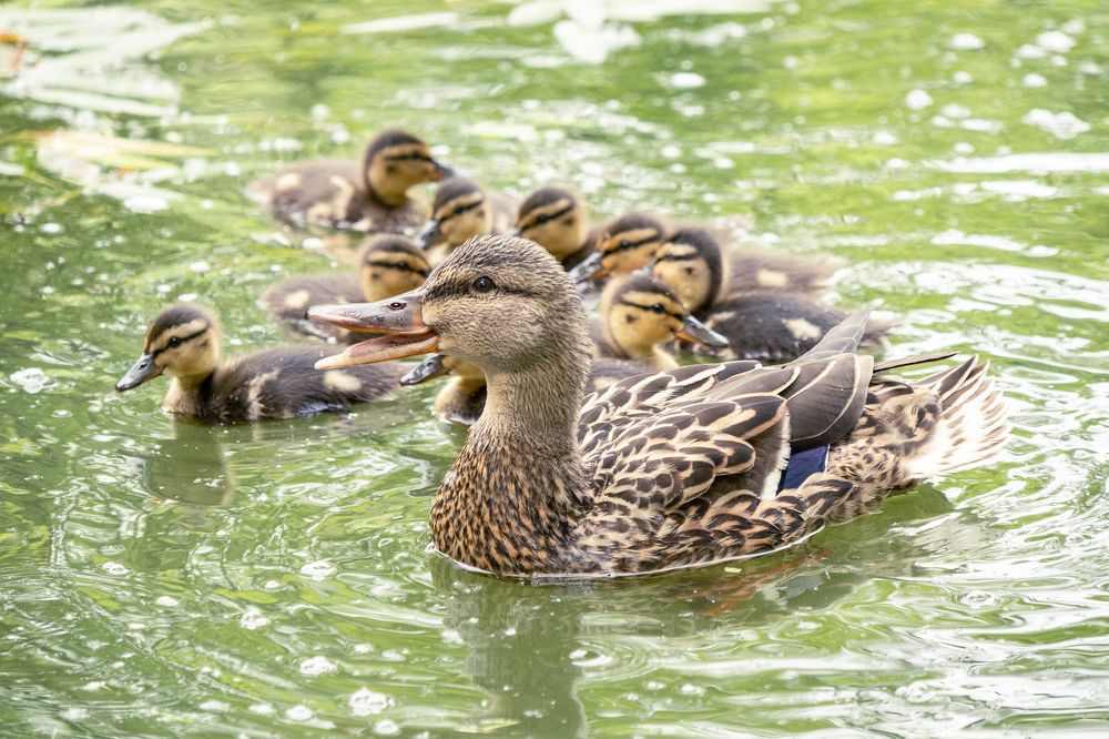 Photograph by Куликова Александра