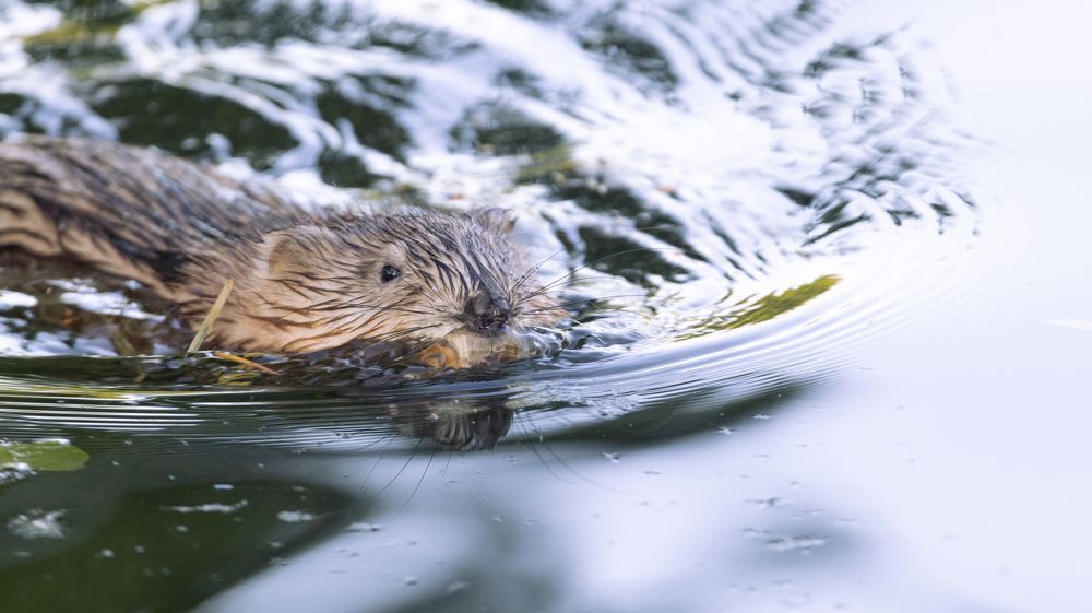 Photograph by Куликова Александра