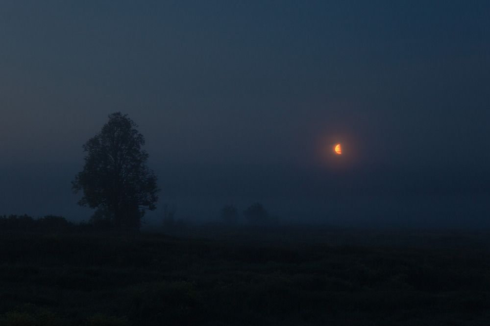 Photograph by Антон Арефьев