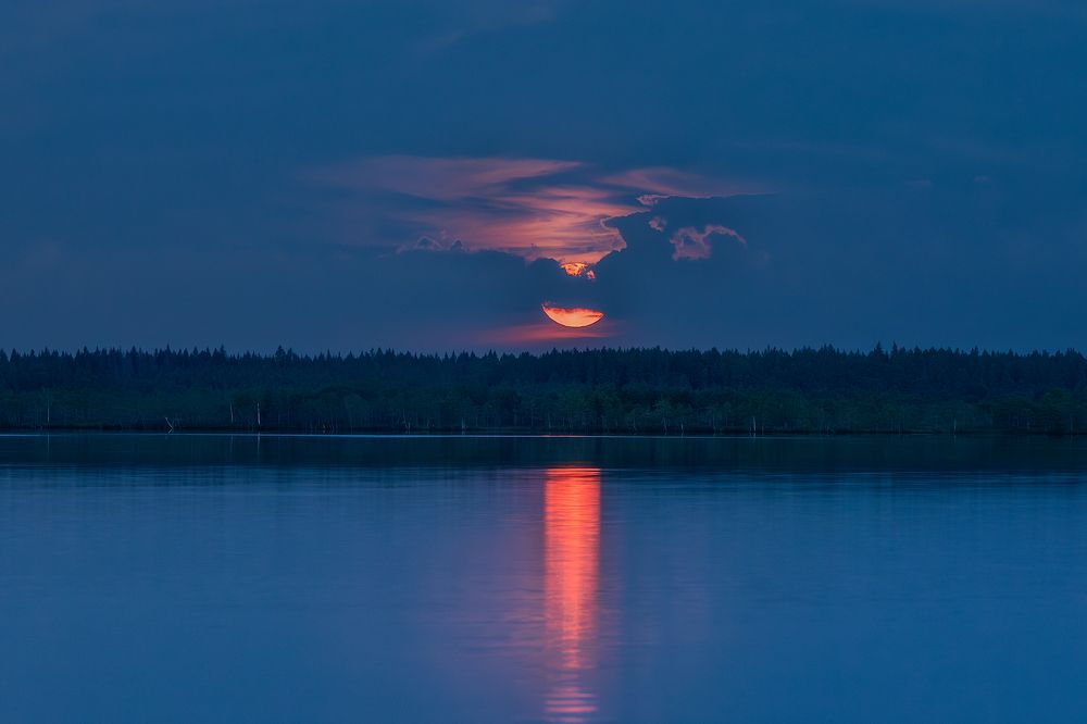 Фотография автора Александр Пашеничев