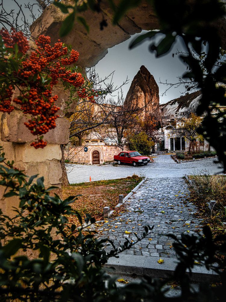 Photograph by Алексей Котлов