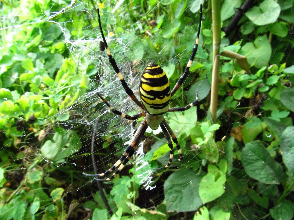 Photograph by Денис Веску