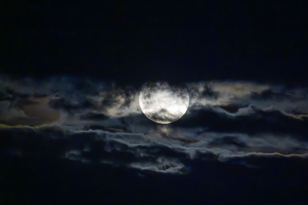 Photograph by Vadim Heinz