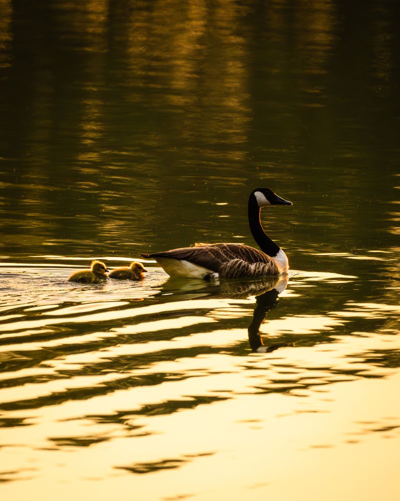 Photograph by Vadim Heinz