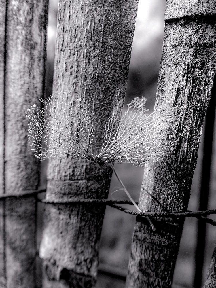 Photograph by Nathalie Le Corff