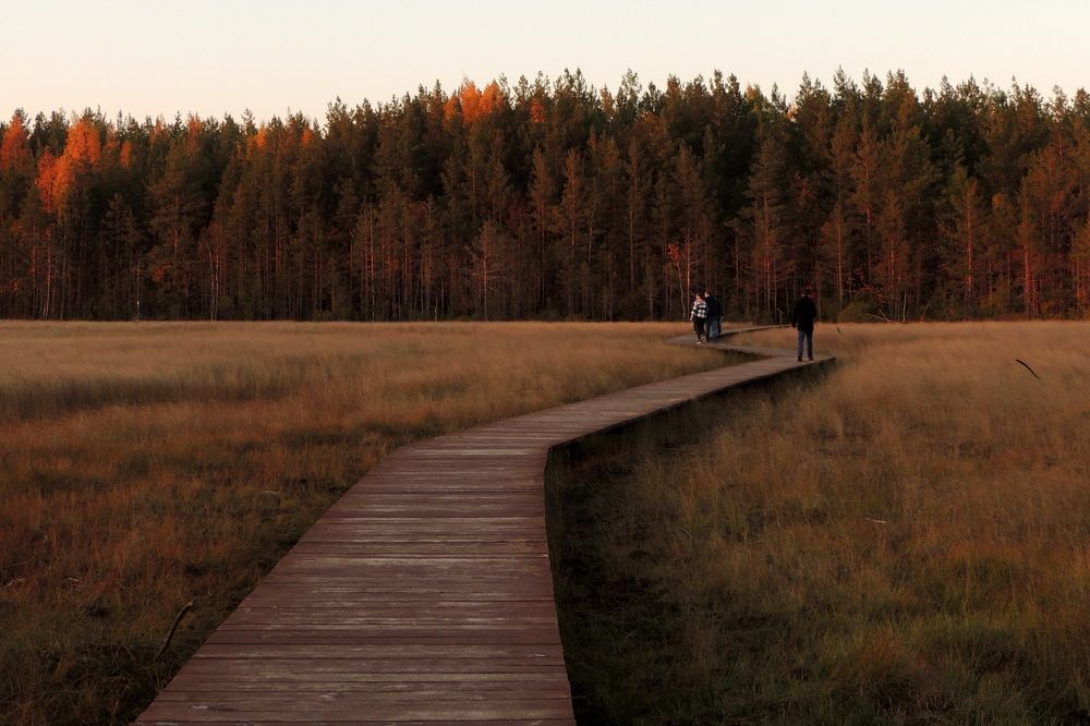 Photograph by Дмитрий Салов