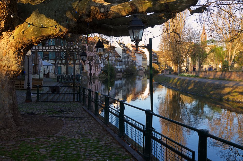 Фотография автора Андрей Неденко