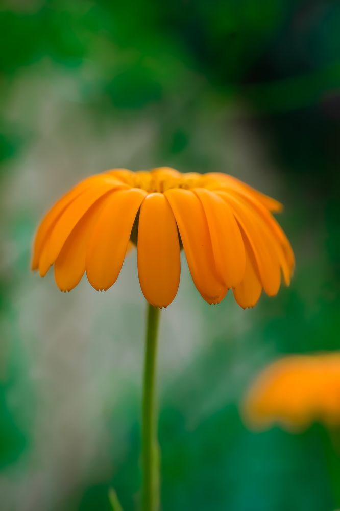 Photograph by imed ghrairi