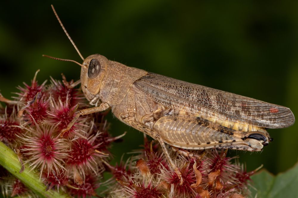 Photograph by Светлана Тараканова