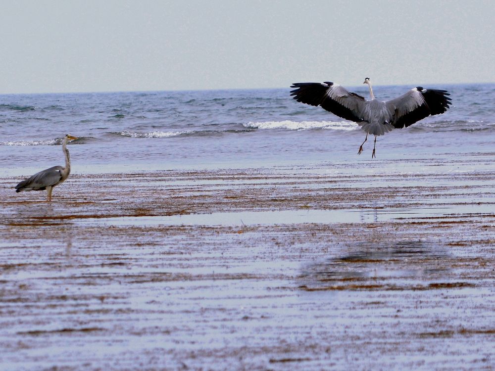 Photograph by roman pushkin