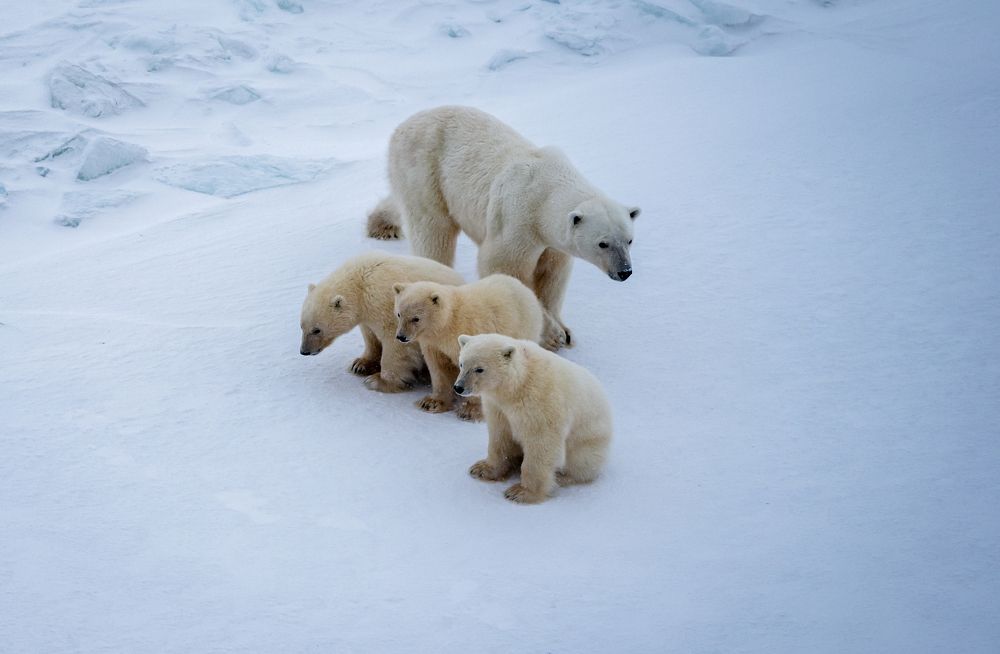 Photograph by Игорь Приданников