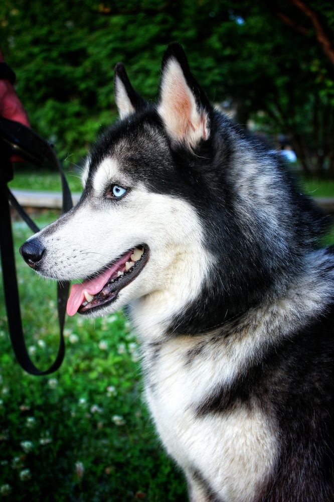 Photograph by Владимир Сушкин