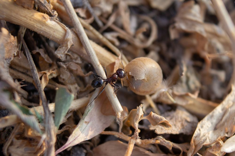 Photograph by Артур