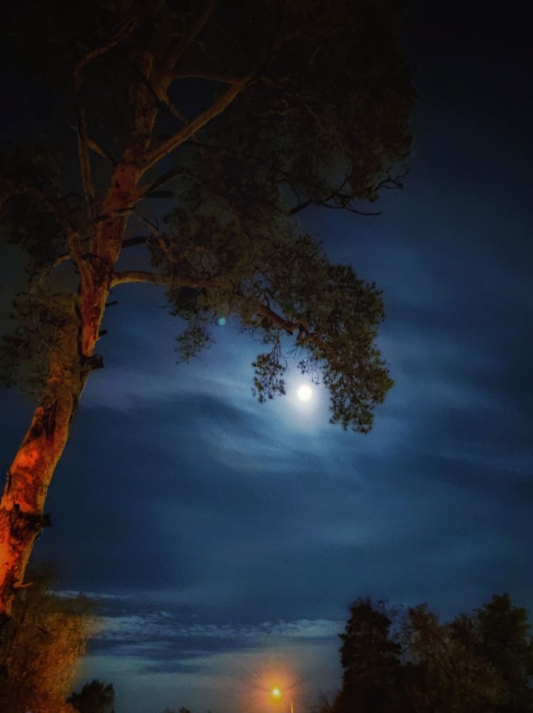 Photograph by Вячеслав Щёголев