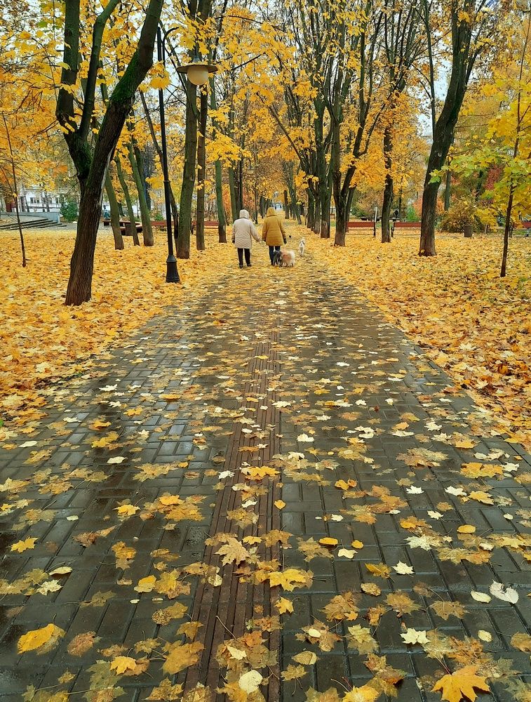 Фотография автора Ольга Кунакова