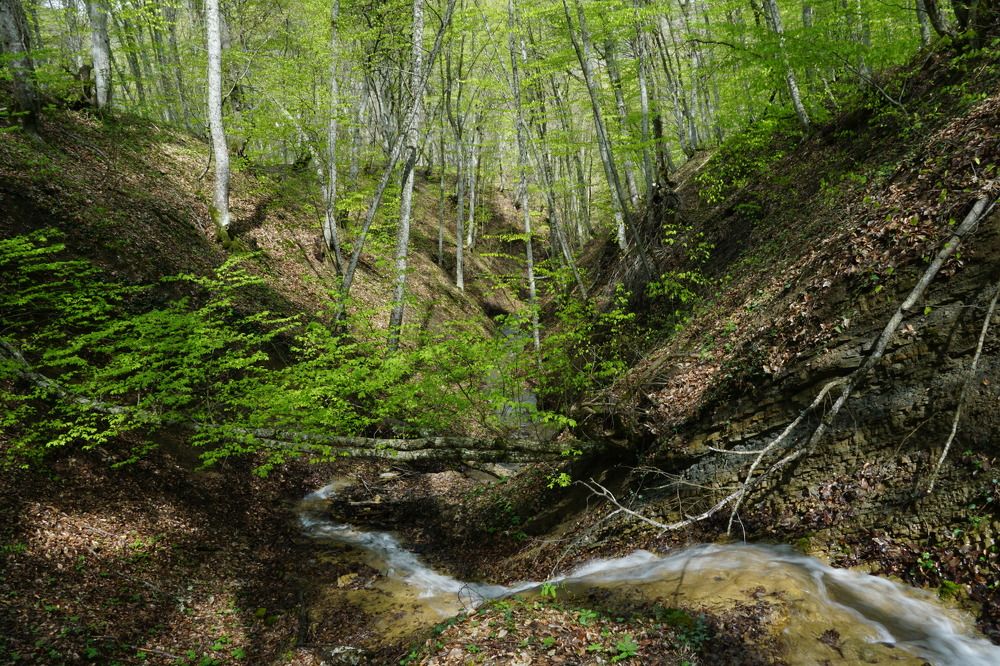 Photograph by света хлевненко