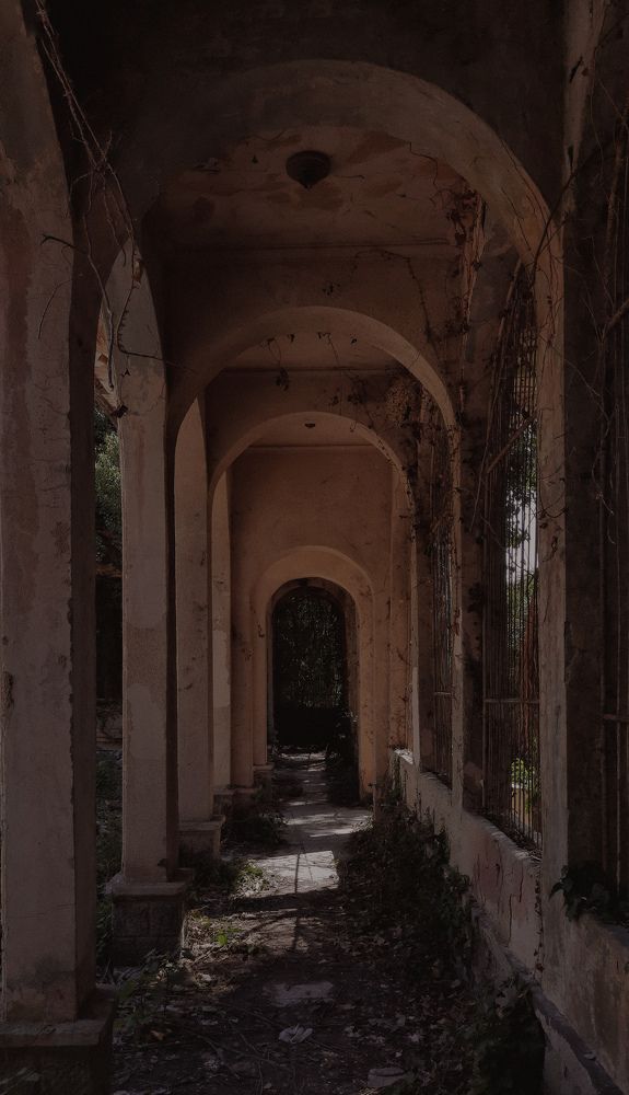 Фотография автора Ольга Кунакова