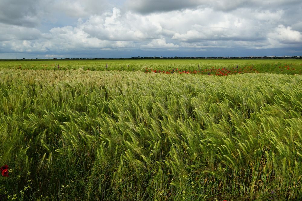 Photograph by света хлевненко