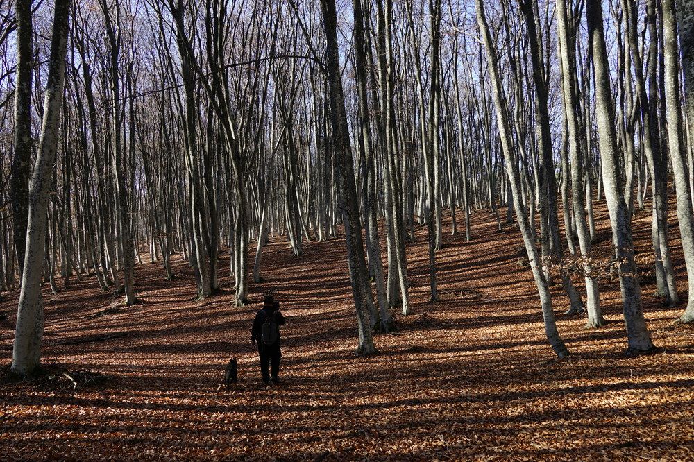 Photograph by света хлевненко