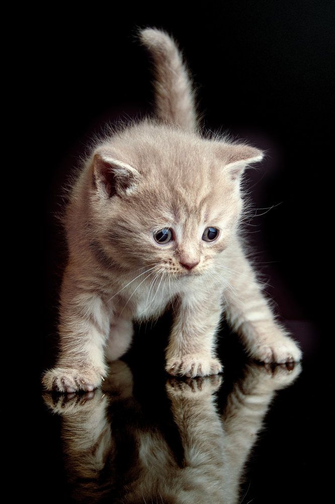 Photograph by Захаров Вячеслав