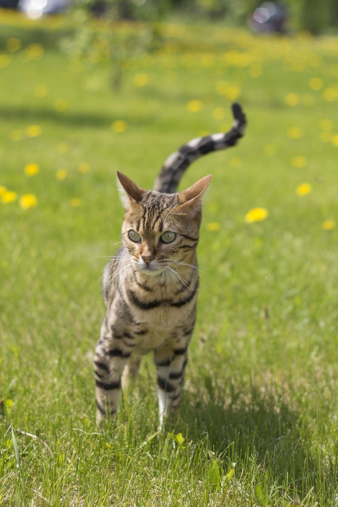 Photograph by Анастасия Северюхина