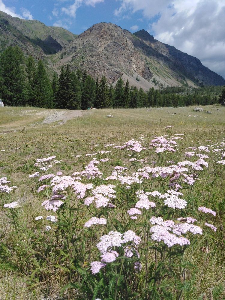 Photograph by Анна