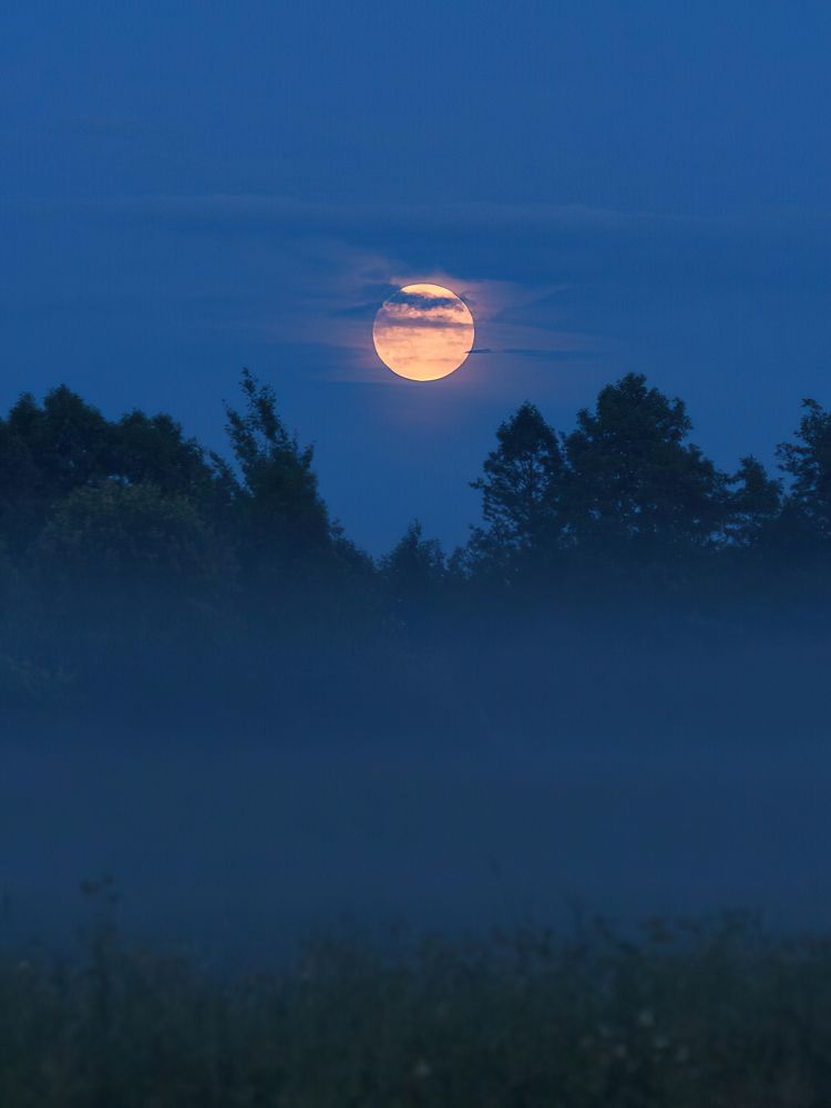 Photograph by Романов Денис