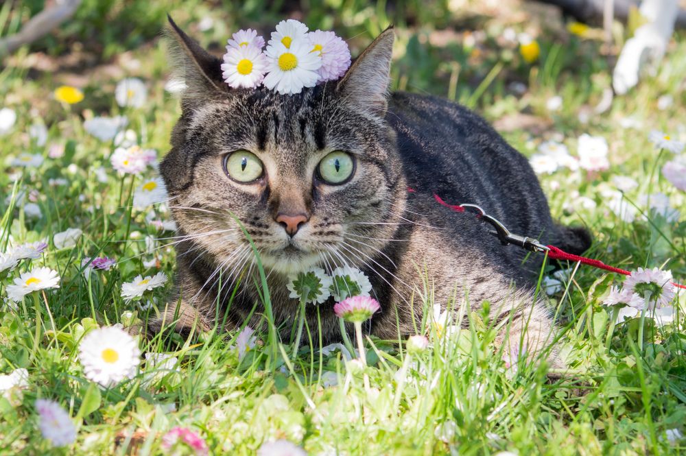 Фотография автора Нина Шкляр