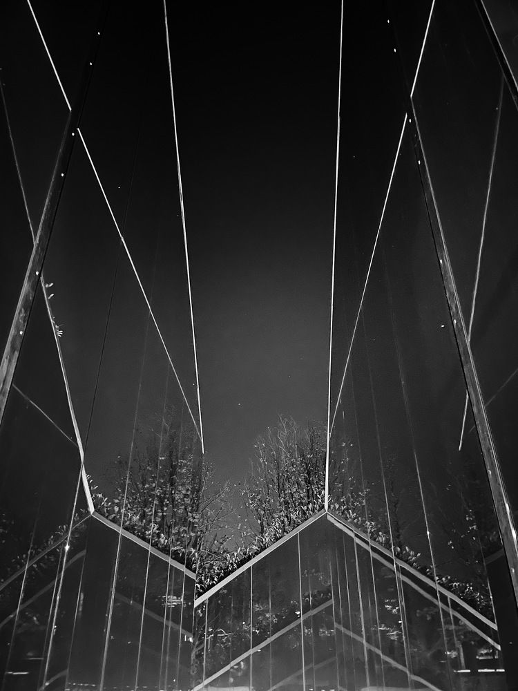Photograph by Lina Constantine