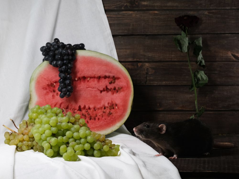 Photograph by Тим Мартынов