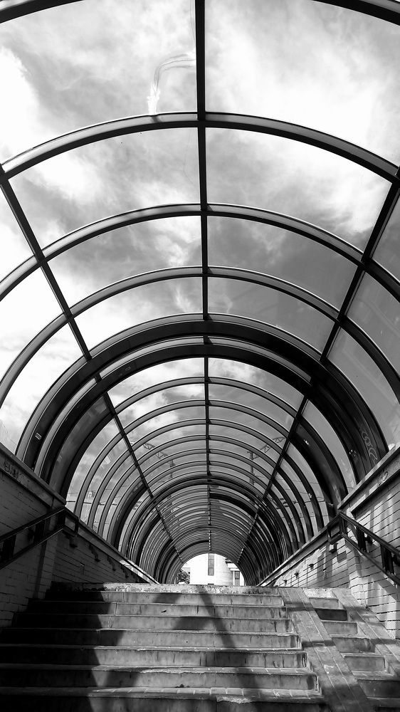 Photograph by Александра Пецевич