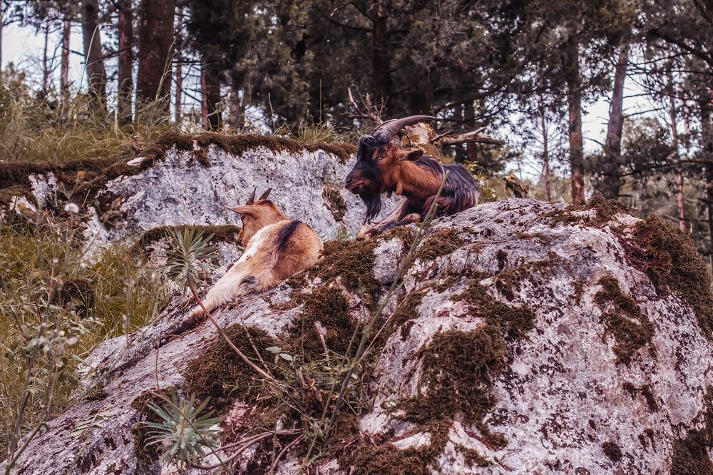 Photograph by Lana Soldatova