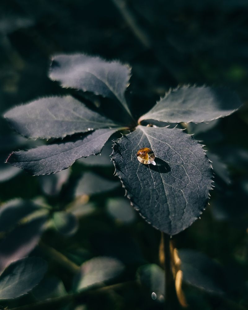 Photograph by Анастасия Черкасова