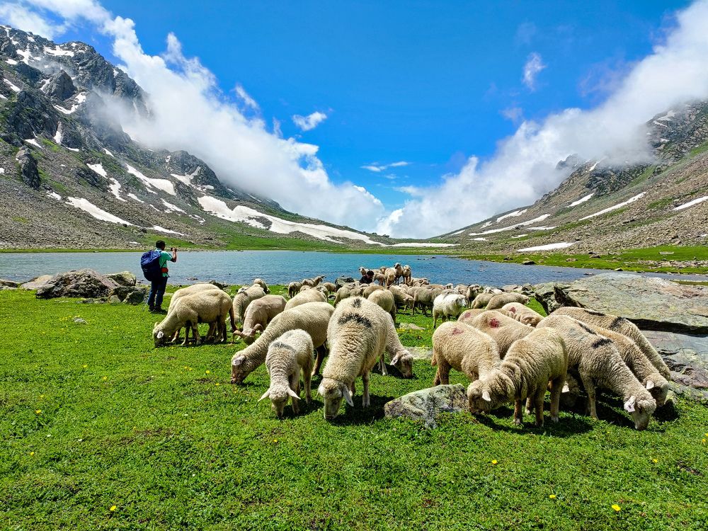 Photograph by Rajib deb