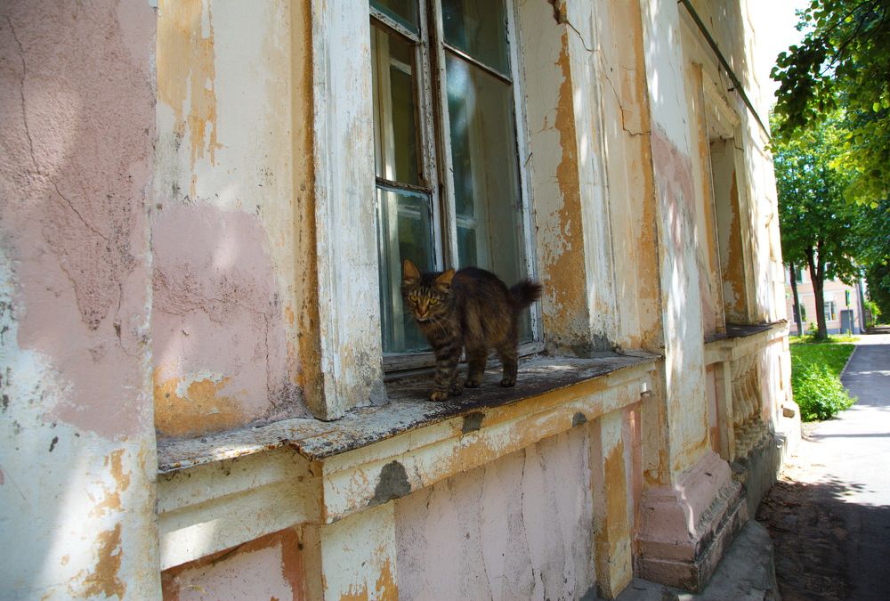 Photograph by Анатолий Протасов