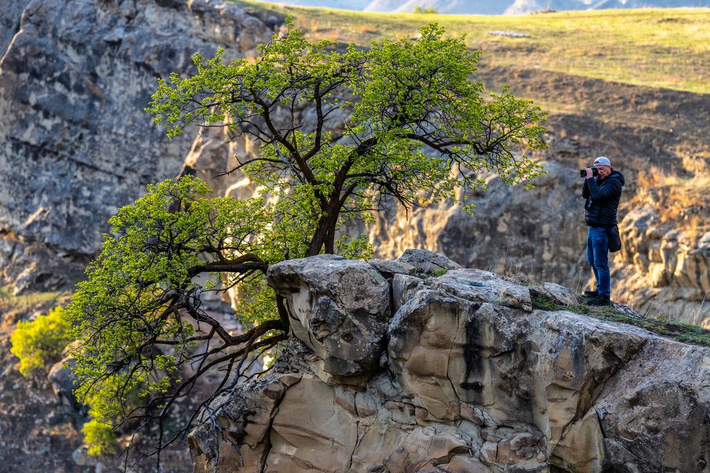 Фотография автора Ковалев Дмитрий