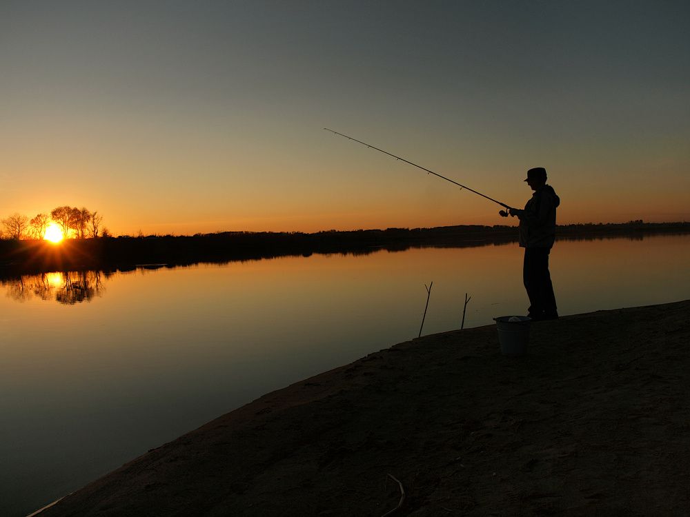 Большая рыба-солнце