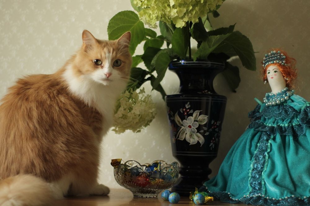 Photograph by Анастасия Липаткина