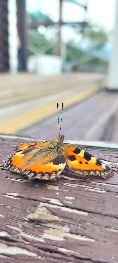 Фотография автора Сергей Можаев