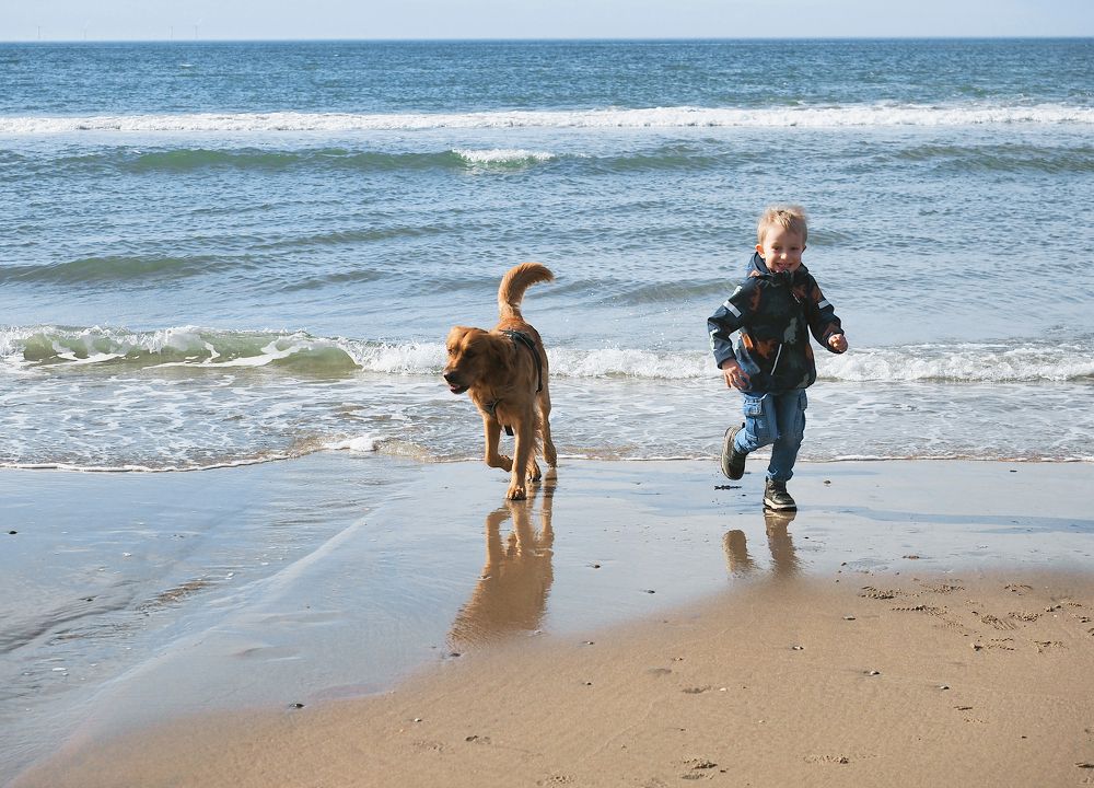 Photograph by Ирина Протченко