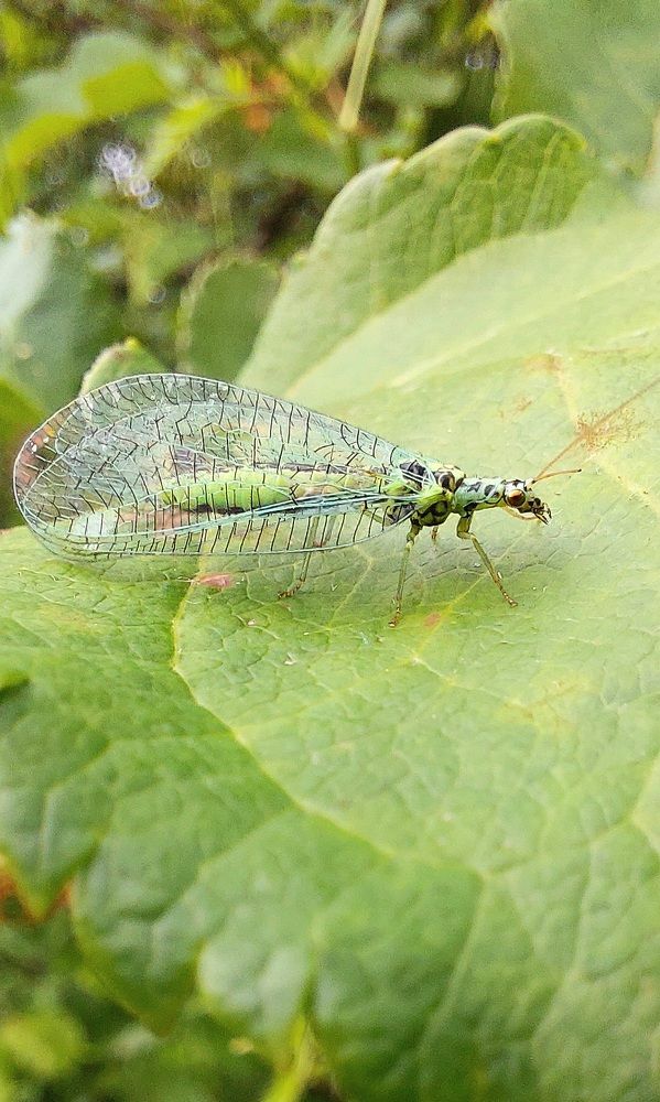 Фотография автора Сергей Можаев
