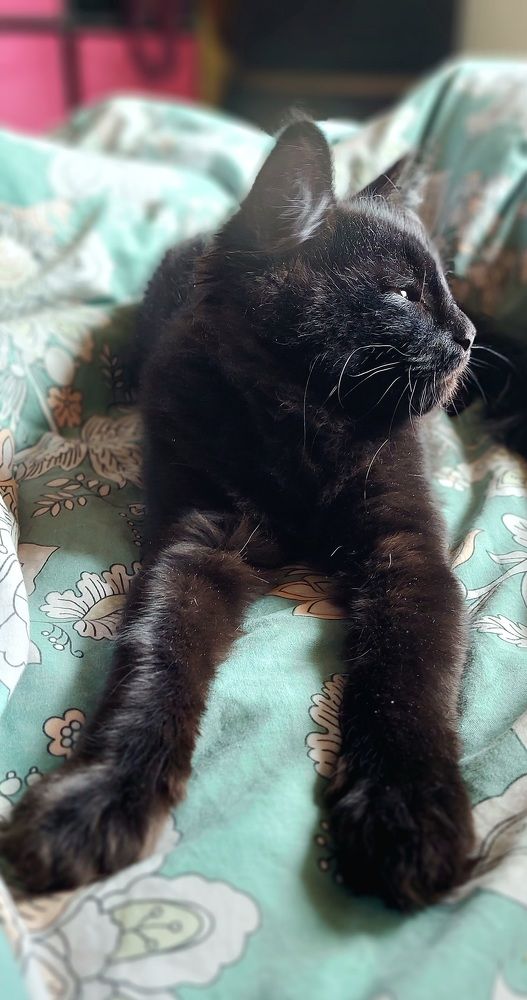 Фотография автора Сергей Можаев