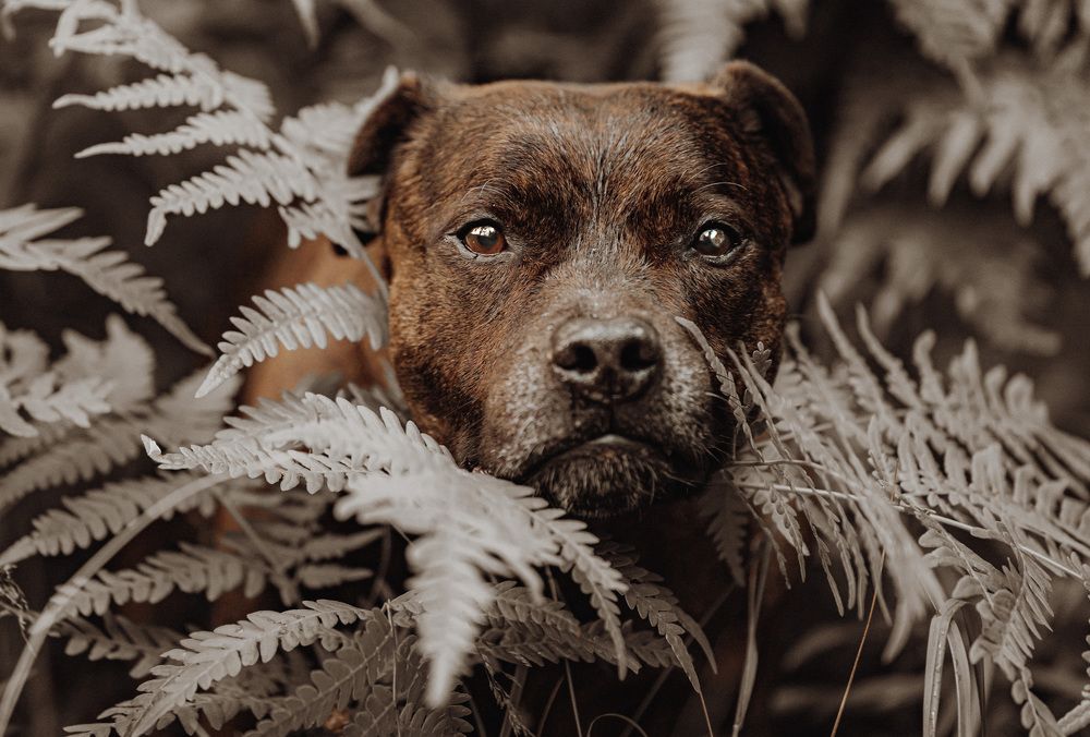 Photograph by Марина Суздаль